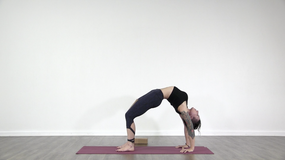 Bend So You Don't Break_2