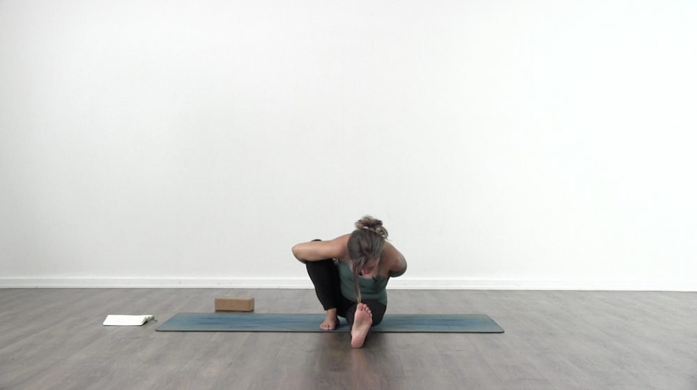 Crow Pose_1