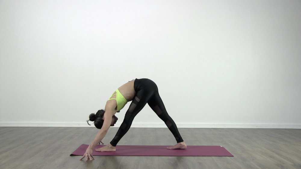 Everyday Hamstring Stretch_0