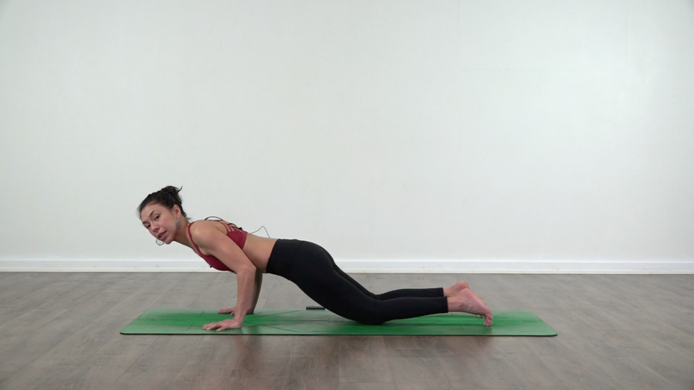 Short Chaturanga Tutorial_2