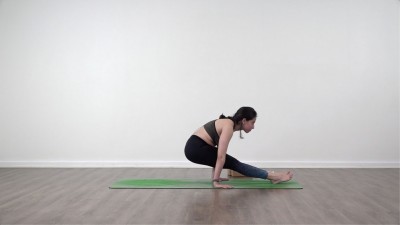 Palmstand