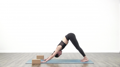 Yogi is practising yoga on a blue yoga mat on white background
