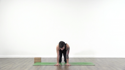 screenshot from online yoga class with yoga teacher Lauren Matters at Yogateket yoga studio in Uppsala Sweden