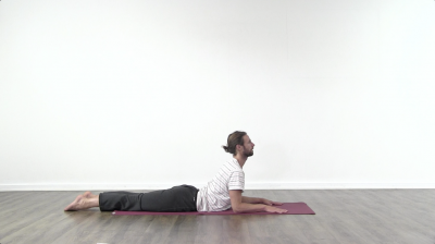 Yogi is practising yoga on a blue yoga mat on white background