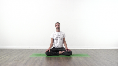 screenshot from online yoga class with yoga teacher at Yogateket yoga studio in Uppsala Sweden