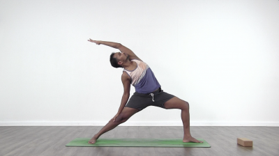Vinay jesta yoga five elements
