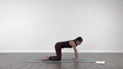 Catalina palma yoga español