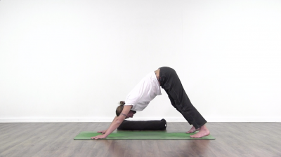 down dog yoga