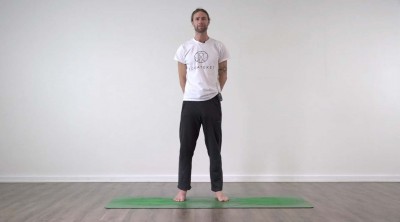 screenshot from online yoga class at Yogateket studio in Uppsala Sweden