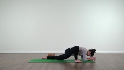 Lizard pose